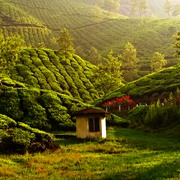 Munnar